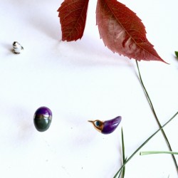 Violetinis paukštukas ir jo dryžuotas kiaušinukas